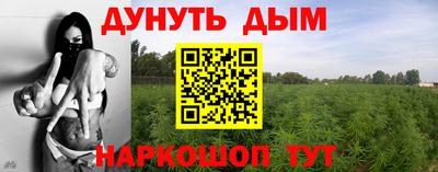 индика Абакан