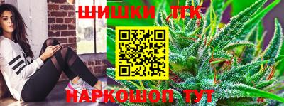 индика Абакан