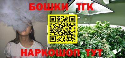 индика Абакан