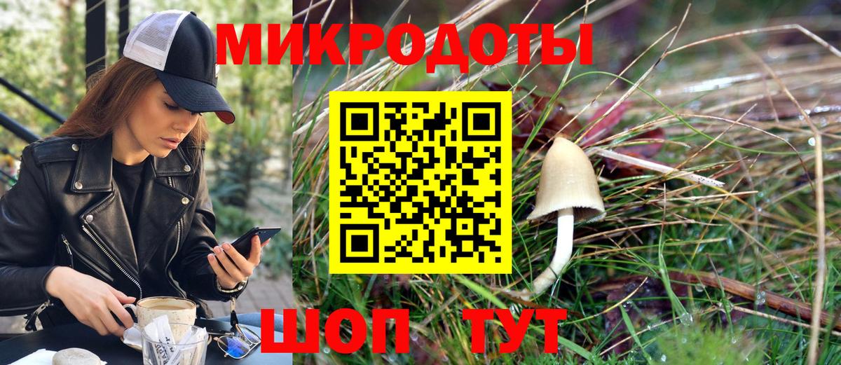 Псилоцибиновые грибы Psilocybine cubensis Алушта
