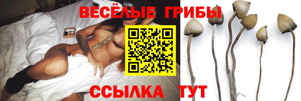 Галлюциногенные грибы Psilocybine cubensis  Вход с VPN  Алушта 